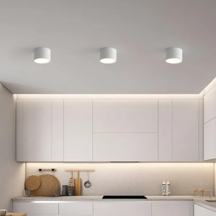 2024 vente chaude moderne minimaliste mural LED Cob Downlights 110V/220V lampe en aluminium de haute qualité IP20 fond de salon