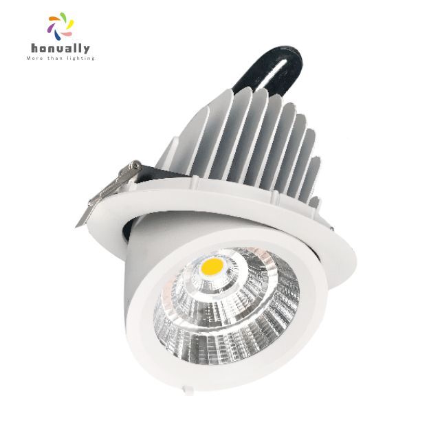 adjustable downlight led