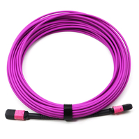 Kabel Patch MPO terlaris 12/24 kabel bagasi serat Core | Jumper MTP kepadatan tinggi harga 3m