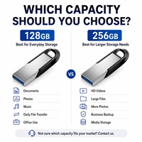 Ofis Bilgisayarı Dizüstü Bilgisayar USB Bellek SanDisk Ultra USB 3.0 128GB 256GB 130MB/s Belge Dosya Depolama Kullanımı İçin Orijinal Kanal Stoğu