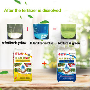 <span class=keywords><strong>Engrais</strong></span> spécial pour la culture de fraises sans sol - Product Image 4