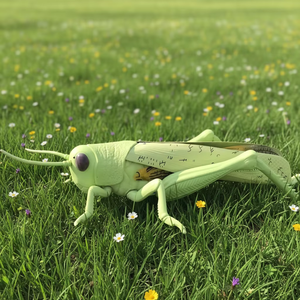 Modèle pédagogique pour la zoologie : structure anatomique d'éléphant <span class=keywords><strong>de</strong></span> mer agrandie - Aide à l'entraînement pour l'éducation en biologie médicale et en sciences animales - Product Image 1