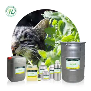 100 % Natürliche Haustier-Aromatherapieöle Großhändler, 1 kg bio-Katzenschneid, Katzmünze, Nepeta cataria Ätherisches Öl 100 % rein zu verkaufen
