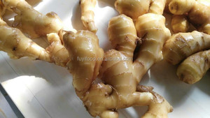 1kg 10kg 13.6kg 20kg Organic Fresh <strong>Dry</strong> <strong>Ginger</strong> Price in China - Product Image 3