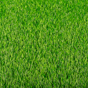 En promotion : <span class=keywords><strong>Gazon</strong></span> artificiel vert, hauteur de la tige 30 mm, <span class=keywords><strong>gazon</strong></span> <span class=keywords><strong>synthétique</strong></span> pour jardin et cour - Product Image 1