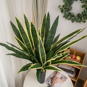 Venta al por mayor planta <span class=keywords><strong>de</strong></span> serpiente falsa hojas <span class=keywords><strong>de</strong></span> PVC <span class=keywords><strong>Sansevieria</strong></span>, decoración del hogar Planta artificial tropical hojas verdes planta <span class=keywords><strong>de</strong></span> serpiente artificial - Product Image 1