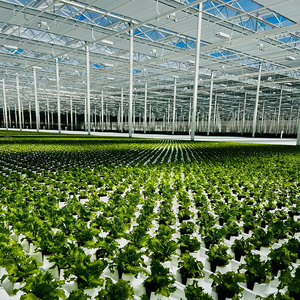 One One Agriculture Farming Complete Greenhouse <b>Grow</b> <b>Tent</b> Arch Shape High Tunnel Green House for Crops Planting/nursery - Product Image 6