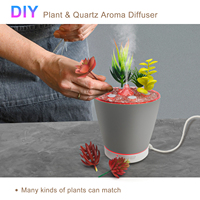 Humidificateur d'huile essentielle en pot, diffuseur de fleur nouveau design