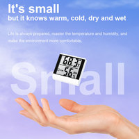 Thermomètre hygromètre numérique LCD mini léger, alimenté par piles, certifié CE FCC, pour usage domestique, design suspendu en plastique, chambre à coucher, bébé, BQ
