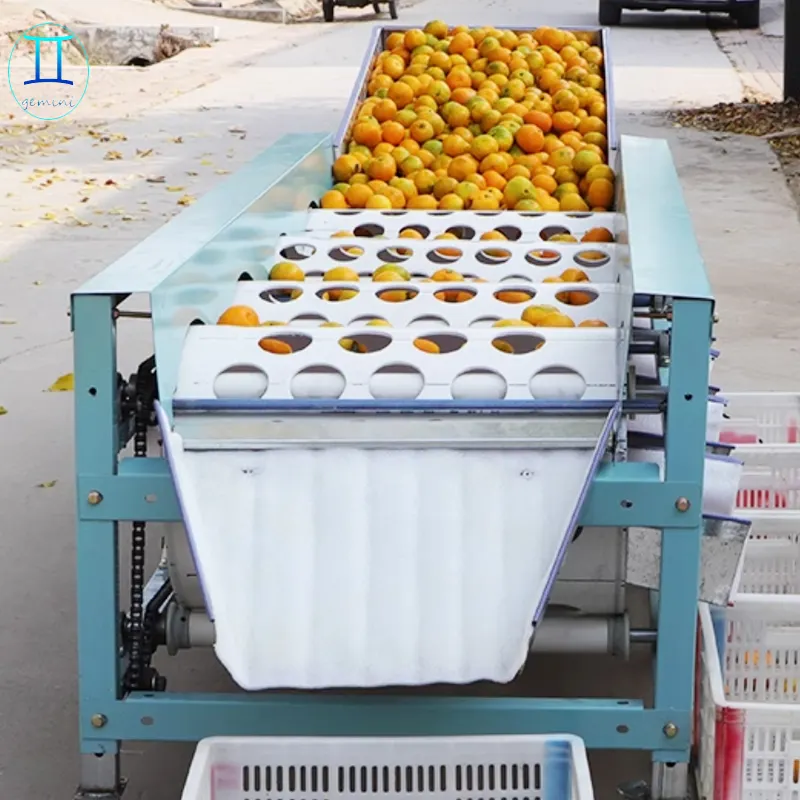 Commercial lemon orange grading machine citrus fruit sorting machine lemon grader machine