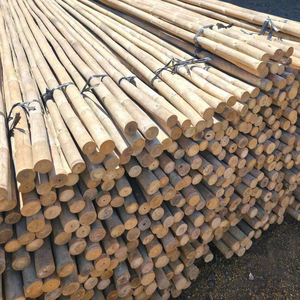 Bâtonnets de bambou naturel Tam Vong du Vietnam en gros pour le soutien des plantes de jardin, l'agriculture, la construction et l'utilisation en extérieur - Product Image 1
