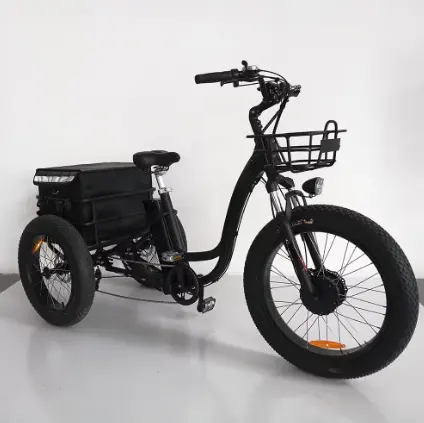 48V 전기 스쿠터 오프로드 3 바퀴 Citycoco 오토바이 전기 오토바이 E 스쿠터 도시 성인용 자전거