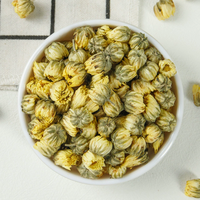 Chrysanthème bébé en conserve, Chrysanthème bébé parfumé, Chrysanthème bébé de Pékin, Chrysanthème bébé personnalisé et expédié directement