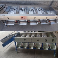 Machine de tri professionnelle pour fruits et agrumes, machine de classement des citrons