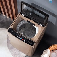 25kg Large-capacity Fully Automatic Washing Machine with Multi-functions Including Drying and Blue Light Disinfection