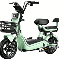 Vélo électrique à batterie au plomb 48V, vente directe d'usine, très demandé, pour adultes, idéal pour les trajets en ville