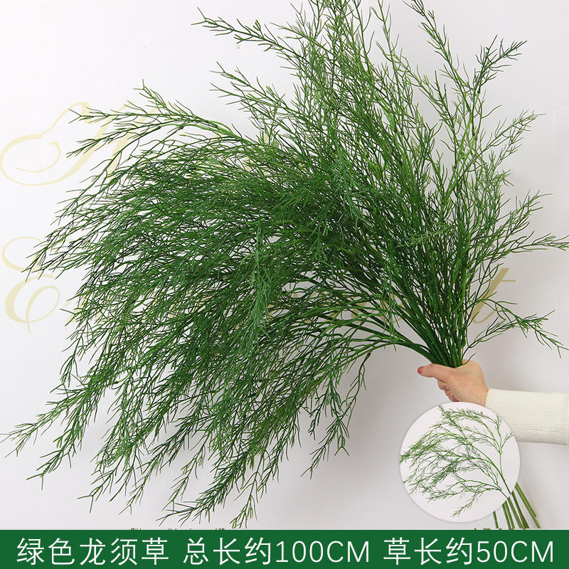 Herbe de dragon verte à tige dense