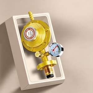 Valvola di Sicurezza OEM per Gas di Carbone, Regolatore di Pressione con <span class=keywords><strong>Set</strong></span> Completo e Morsetto per Tubi per Connessione a Cilindri e Tubazioni - Product Image 5