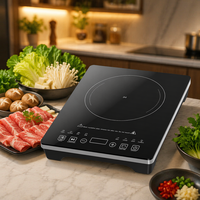 Mini cuisinière à induction portable intelligente, plaque de cuisson électrique à écran tactile pour usage domestique, fabriquée en plastique durable