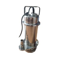 Pompe submersible en acier inoxydable personnalisable, pompe à découpe des eaux usées, 0,25 kW, pompes centrifuges chimiques en métal, personnalisables