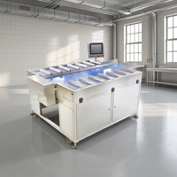 Báscula Electrónica Multiplataforma para Automatización, 12 Palés, para Frutas, Mariscos y Carne, Báscula de Peso Combinada