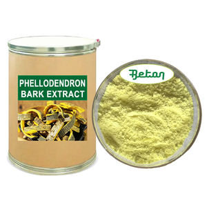 Hoogwaardig <span class=keywords><strong>Phellodendron</strong></span> Amurense schors <span class=keywords><strong>extract</strong></span> poeder 1% -98% Berberine poeder Huang Bai poeder - Product Image 1