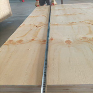 Contreplaqué de pin stratifié de haute qualité traité sous pression pour l'extérieur 18 mm 12 mm CDX 4X8 - Product Image 4