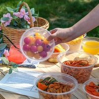 Wegwerp 8Oz-32Oz Doorzichtige Plastic Deli Voedselcontainer Deksel Lunchbox Voor Het Afnemen Van Voedsel Wegwerp Plastic Container Voor Voedsel