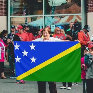 Mini Bandera de banderín de las Islas Salomón con logotipo personalizado para espejo retrovisor de coche para seguro Educativo Automotriz - Product Image 6