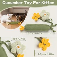 Jouets pour chat en forme de concombre, 3 pièces, jouets pour chatons d'intérieur