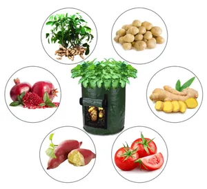 Potato Grow Bag PE Vegetable Onion Plant Bag with Handle Thickened Garden Carrot Taro Peanut Growing Bag