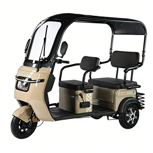 Triciclo Eléctrico, Motocicleta de 3 Ruedas para Adultos, con Asiento para Pasajero, a <span class=keywords><strong>Precio</strong></span> Económico - Product Image 4