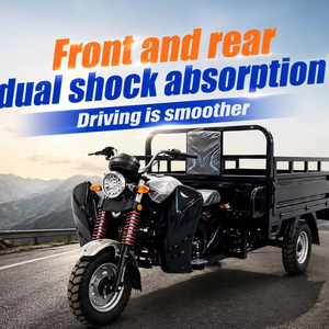 <span class=keywords><strong>Moto</strong></span> cargo à trois roues, moteur 200cc refroidi par air, structure renforcée pour charges lourdes - Product Image 1