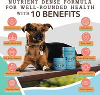 Grosir suplemen kunyah lembut Multivitamin anjing meningkatkan kekebalan sendi Kulit & mendengar kesehatan dengan Formula alami untuk anjing dan kucing