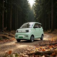 Châssis intégré anti-corrosion, Yuantong EV3 L7e certifié EEC, mini-voiture électrique, modes de charge rapide, longue autonomie