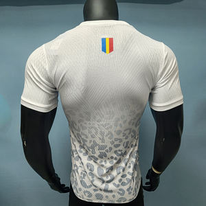 Оптовая продажа, индивидуальный пошив: Мужские спортивные футболки для Кубка Африки наций 26-27, быстросохнущие, дышащие, ткань 220 г, версия для лучшего игрока сборной Конго - Product Image 4