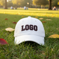 Casquette de baseball à visière rigide en gros OEM ODM, 100 % coton, broderie 3D, 6 panneaux, décontractée, pour l'extérieur, unisexe, protection solaire