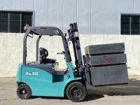 Chariot élévateur motorisé WGZN 220V intelligent avec déverrouillage par mot de passe, instrument LCD et double vérin hydraulique pour terminal de fret