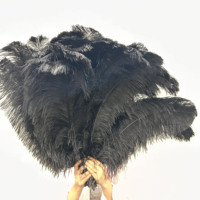 Plumes d'autruche noires à plumes complètes de 10 à 30 pouces, motif teint multicolore, pour décoration de carnaval, mariage, scène, costume