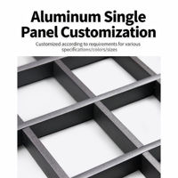 Plaque de plafond en aluminium perforé ignifuge résistante aux chocs avec grille de plafond pour la décoration intérieure des hôtels et des hôpitaux