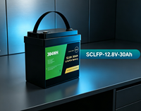 Baterai Solid State LiFePO4 Loxeny SCLFP-12.8V-30 30Ah 384Wh dengan Smart BMS 6000+ Siklus untuk Sistem Penyimpanan Energi Surya