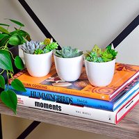 Table décorative fantaisie paresseux mini petit plastique gros herbe orchidée plantes succulentes planteur plante pot pot de fleurs