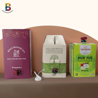 Sac personnalisé 3l dans une boîte Produit de nettoyage Sac transparent dans une boîte Sac de produits chimiques transparent de 5L dans une boîte
