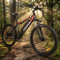 Vélo de montagne électrique tout-terrain OEM directement de l'usine, 350W 48V12Ah, pneus larges de 26 pouces, léger, 30-50 km/h, plus de 60 km d'autonomie, E-MTB