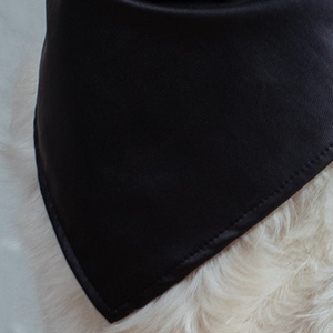 Venta caliente cuero perro Bandana impermeable mascota Bandana Collar portátil perro bufanda Bandana - Product Image 6