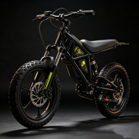Moto électrique tout-terrain légère en aluminium pour enfants, 1000W, transmission par moyeu arrière, vitesse maximale 35 km/h, pneus tout-terrain de 16 pouces, charge utile 70 kg, E-Bike