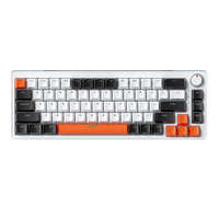 65% clavier mécanique 68 touches remplaçables à chaud Anti-ghosting Mini clavier mécanique de jeu RVB filaire Teclado pour ordinateur