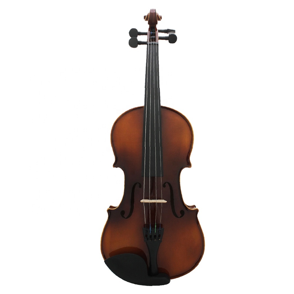 Aston Villa AV-04 Violin - Bright White Border, Professional