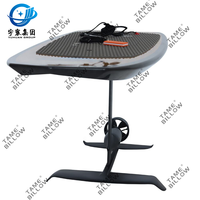 Planche de surf Efoil personnalisée en carbone 210cm 168cm avec batterie pour les eaux océaniques TAME BILLOW YH-EF01/02