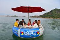 BBQ beignet bateau électrique loisirs 6-10 personnes à vendre
